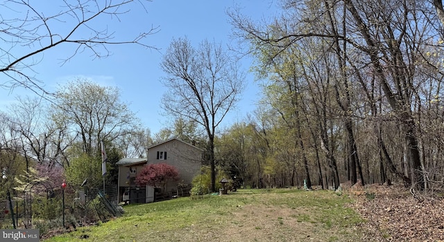 view of yard