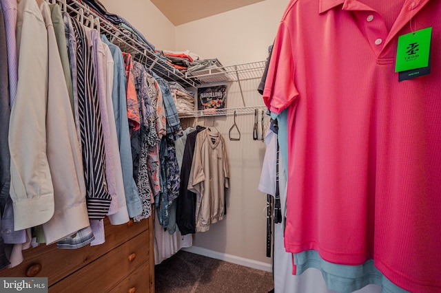 spacious closet featuring carpet floors