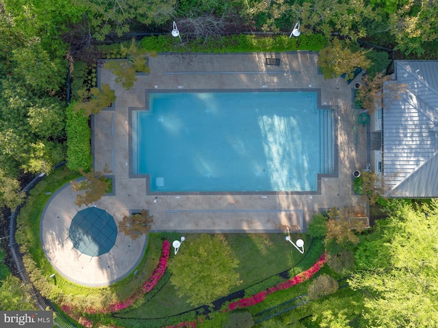 drone / aerial view