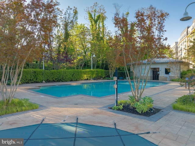 view of pool with a patio and a fenced in pool