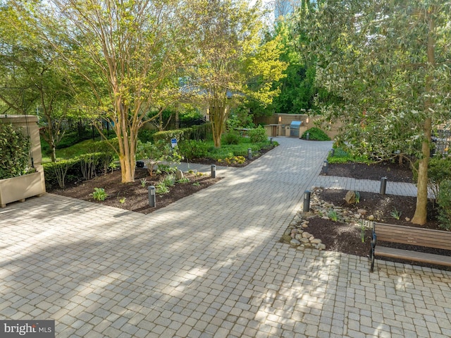 view of community featuring a patio