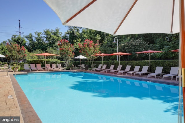 pool with a patio area