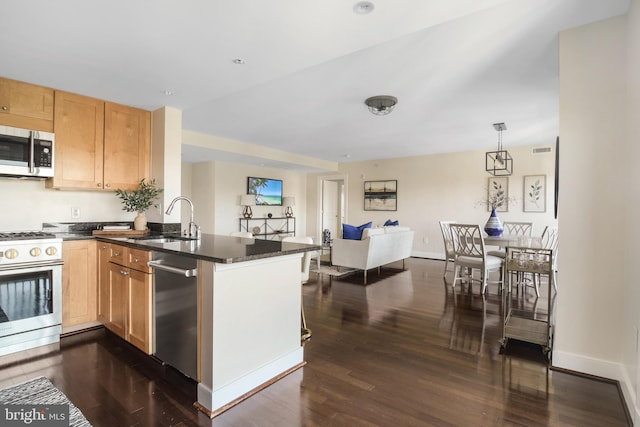 kitchen with open floor plan, appliances with stainless steel finishes, a sink, and dark wood-style floors
