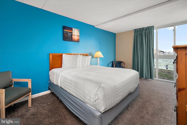 bedroom with baseboards and carpet floors