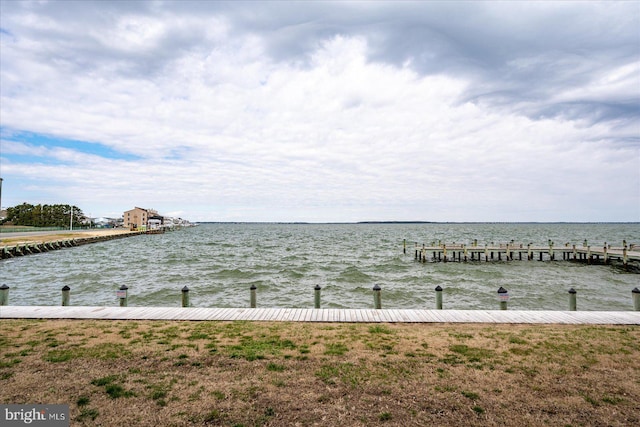 water view featuring a boat dock