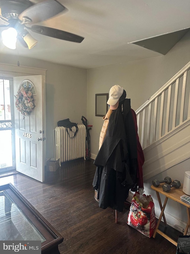 entrance foyer with radiator, ceiling fan, wood finished floors, and a wealth of natural light