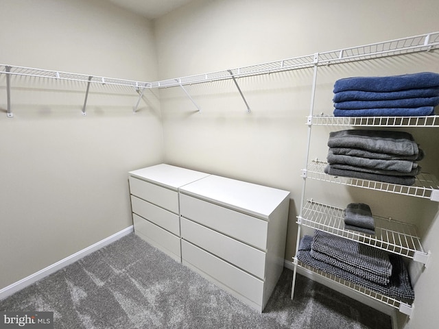 1317 Lowman St, Baltimore, MD 21230 - walk in closet with carpet