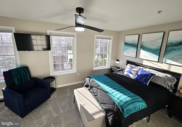 1317 Lowman St, Baltimore, MD 21230 - bedroom featuring a ceiling fan, carpet flooring, and baseboards