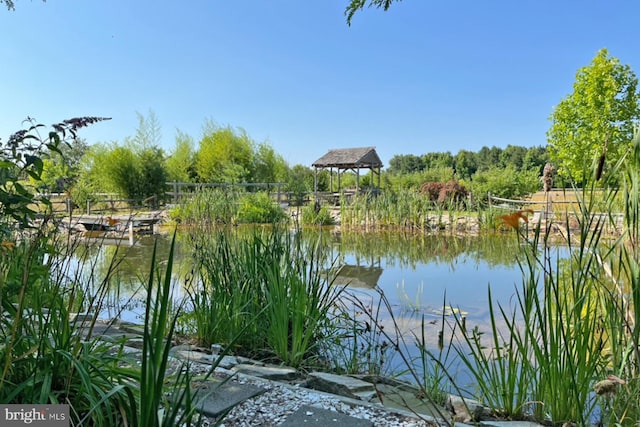water view