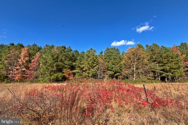 view of nature featuring a forest view