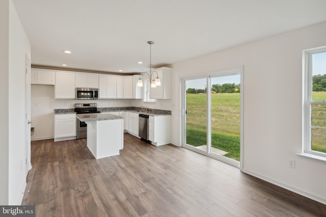 2685 Victorian Dr Lot 67, Dover, PA 17315 - kitchen featuring a wealth of natural light, dark wood-style floors, and stainless steel appliances