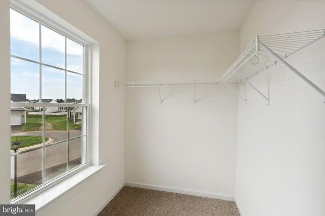 2685 Victorian Dr Lot 67, Dover, PA 17315 - walk in closet with carpet floors