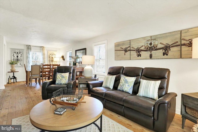 living area featuring hardwood / wood-style flooring