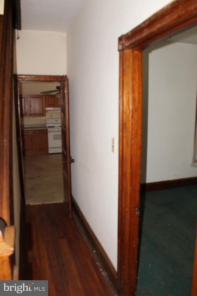 hallway featuring baseboards and dark wood-style floors