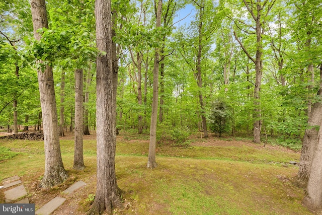 1517 Snughill Ct, Vienna, VA 22182 - view of yard