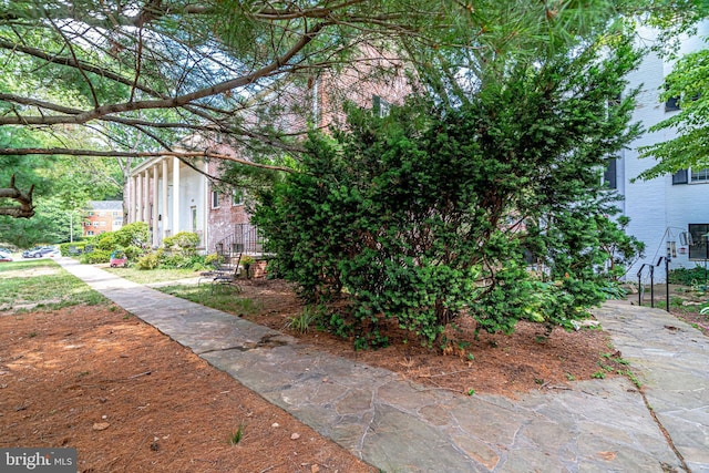 1608 Preston Rd, Alexandria, VA 22302 - view of yard