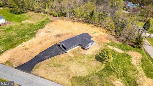drone / aerial view