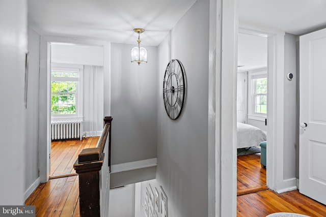 hall featuring hardwood / wood-style flooring and radiator