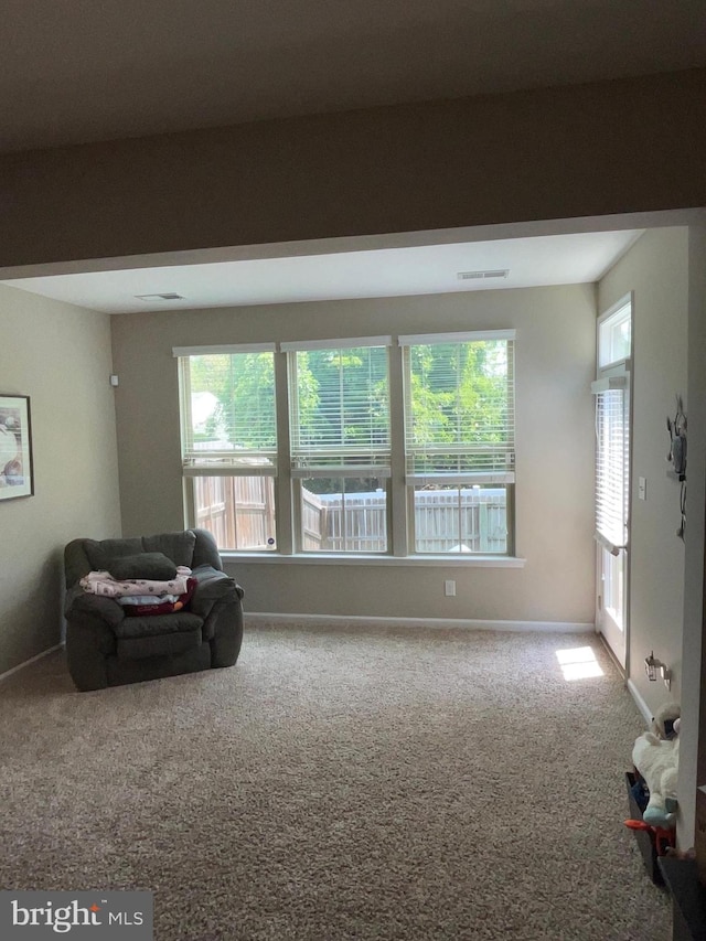 7805 Wistar Woods Pl, Henrico, VA 23228 - sitting room featuring carpet flooring and baseboards