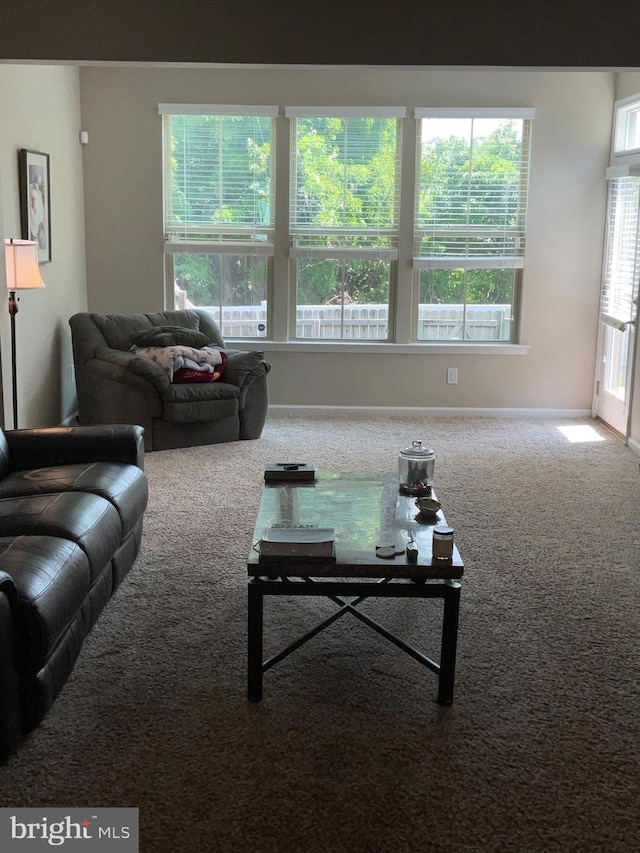 7805 Wistar Woods Pl, Henrico, VA 23228 - living area with baseboards and carpet floors