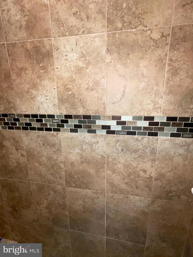 7805 Wistar Woods Pl, Henrico, VA 23228 - details featuring tiled shower
