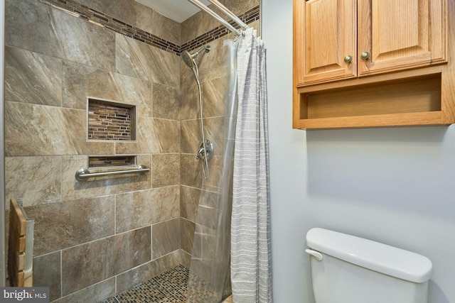 bathroom featuring a stall shower and toilet