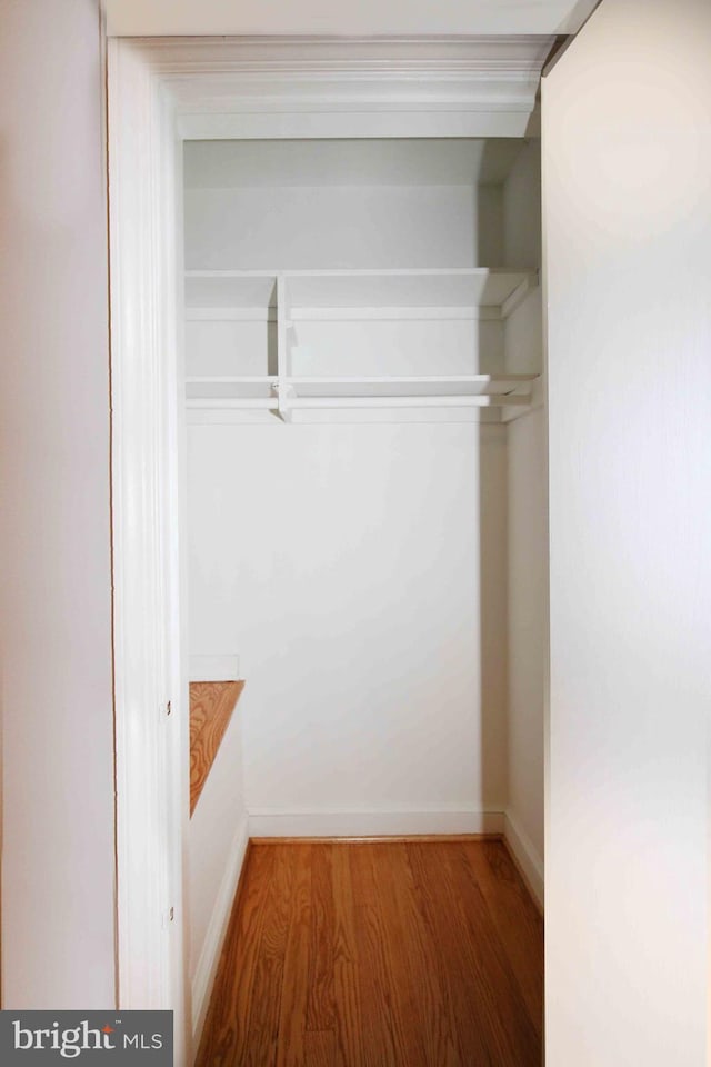 view of closet