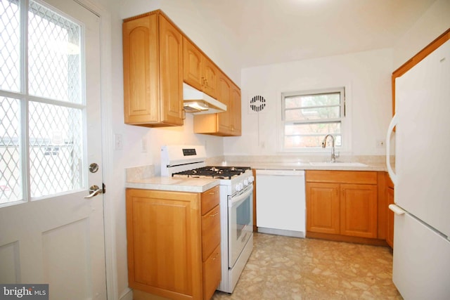 kitchen with white appliances, under cabinet range hood, a sink, and plenty of natural light