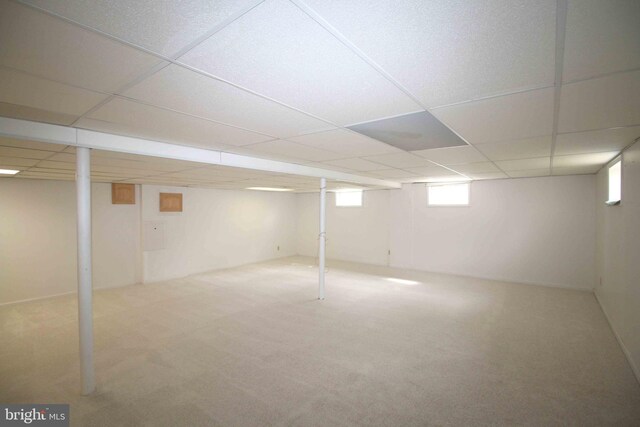 basement with a drop ceiling and carpet floors
