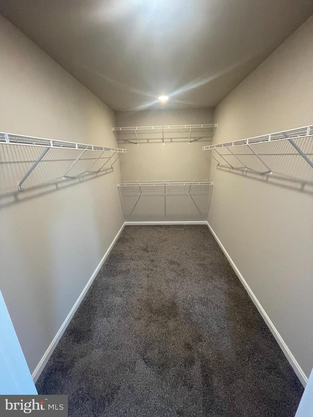walk in closet with carpet
