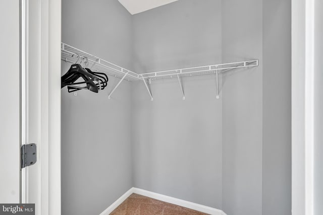 spacious closet featuring carpet