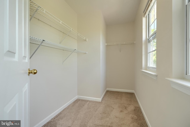 724 Tinker Rd, Middle River, MD 21220 - walk in closet featuring carpet floors