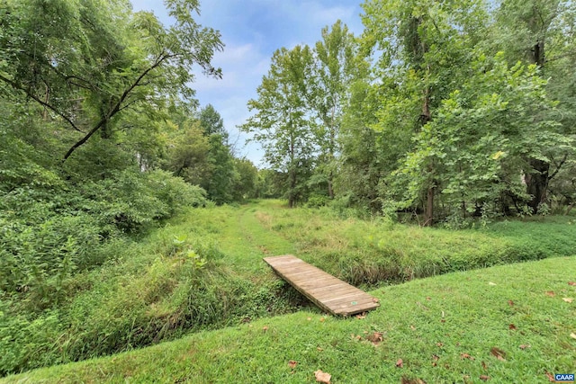 2033 Shepherds Ridge Rd, Charlottesville, VA 22901 - view of yard featuring a wooded view