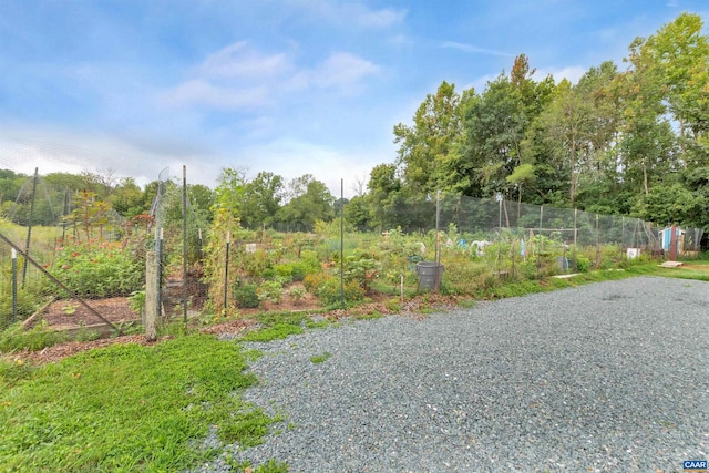2033 Shepherds Ridge Rd, Charlottesville, VA 22901 - view of street