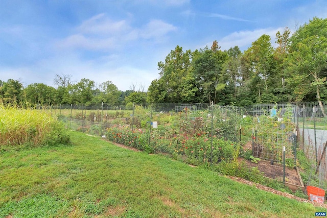 2033 Shepherds Ridge Rd, Charlottesville, VA 22901 - view of yard with fence and a vegetable garden
