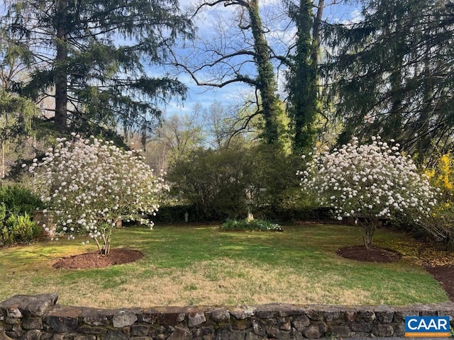 42 Old Farm Rd, Charlottesville, VA 22903 - view of yard