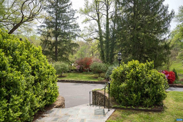 42 Old Farm Rd, Charlottesville, VA 22903 - view of home's community