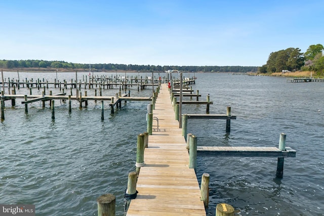 view of dock with a water view and boat lift