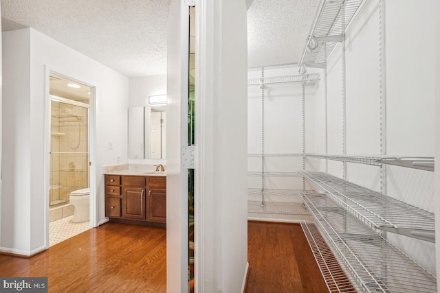 walk in closet featuring wood finished floors and a sink