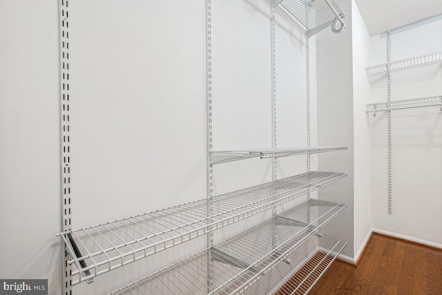 walk in closet featuring wood finished floors