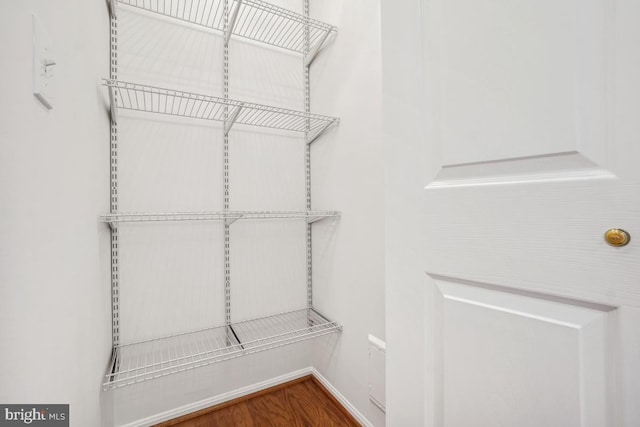 spacious closet featuring wood finished floors