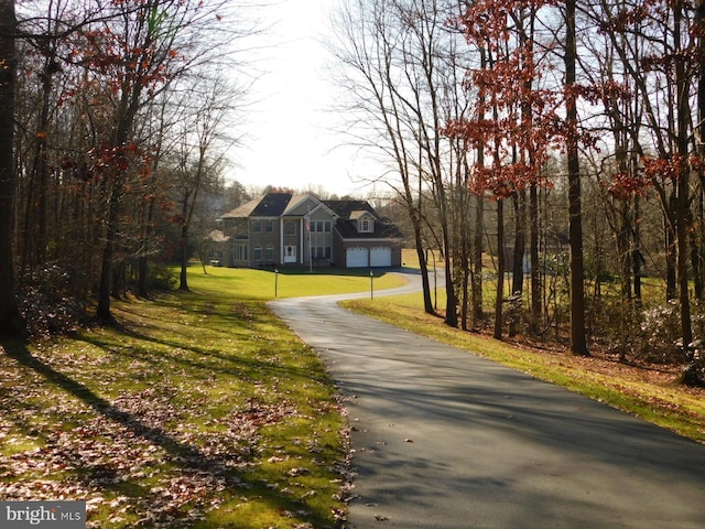 view of road featuring driveway