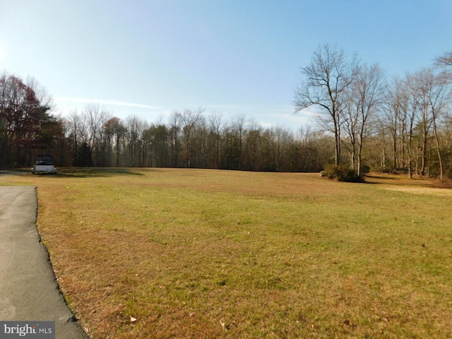 view of yard with a wooded view