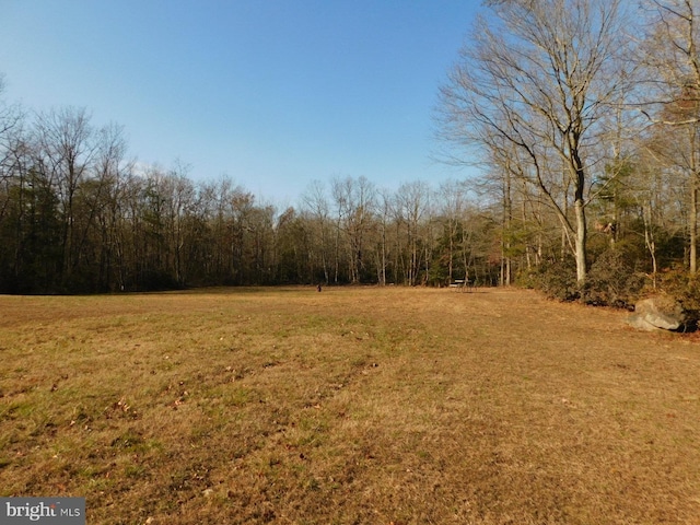 view of yard with a wooded view
