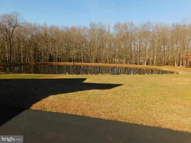 view of yard with a water view