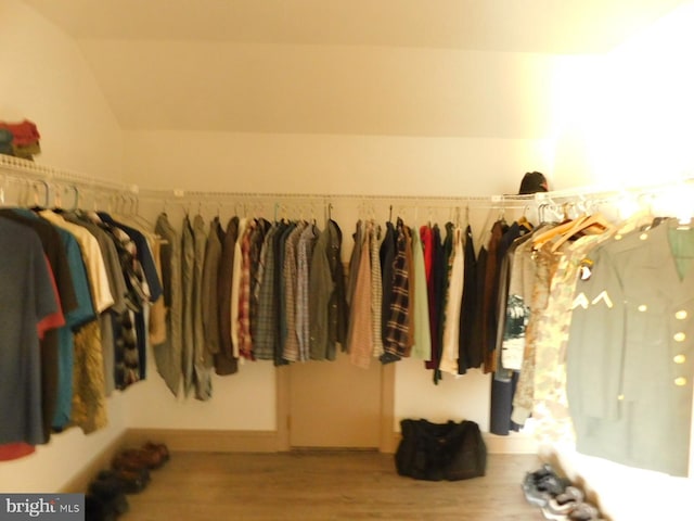 spacious closet with wood finished floors