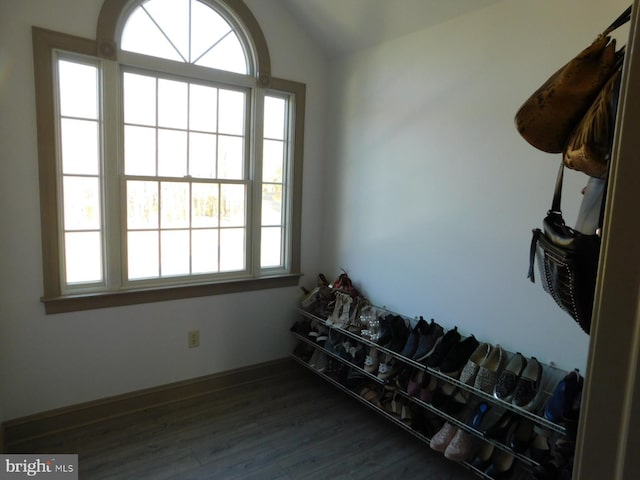 interior space featuring vaulted ceiling and dark wood-style floors