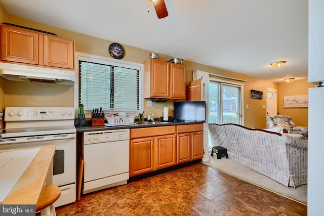 4315 Washington Blvd, Halethorpe, MD 21227 - kitchen featuring white appliances, under cabinet range hood, a sink, and ceiling fan