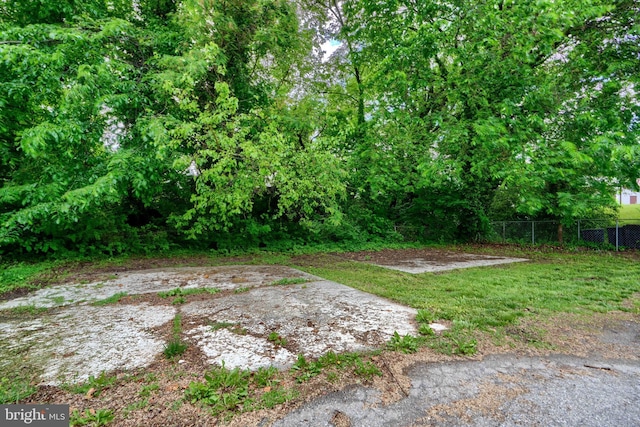 4315 Washington Blvd, Halethorpe, MD 21227 - view of yard