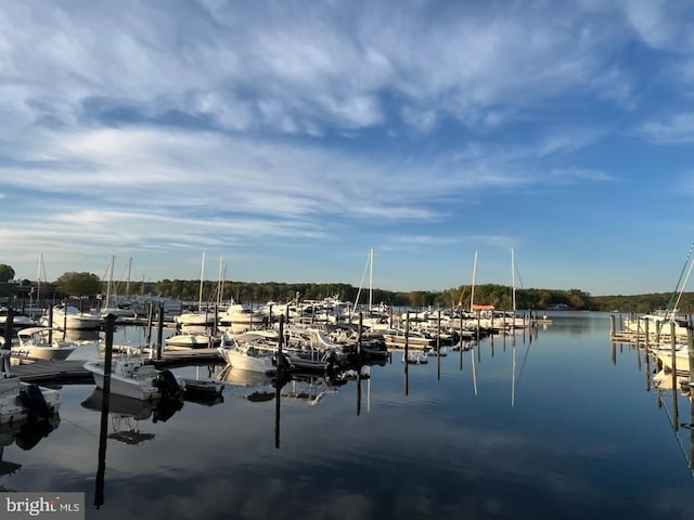 property view of water featuring a boat dock